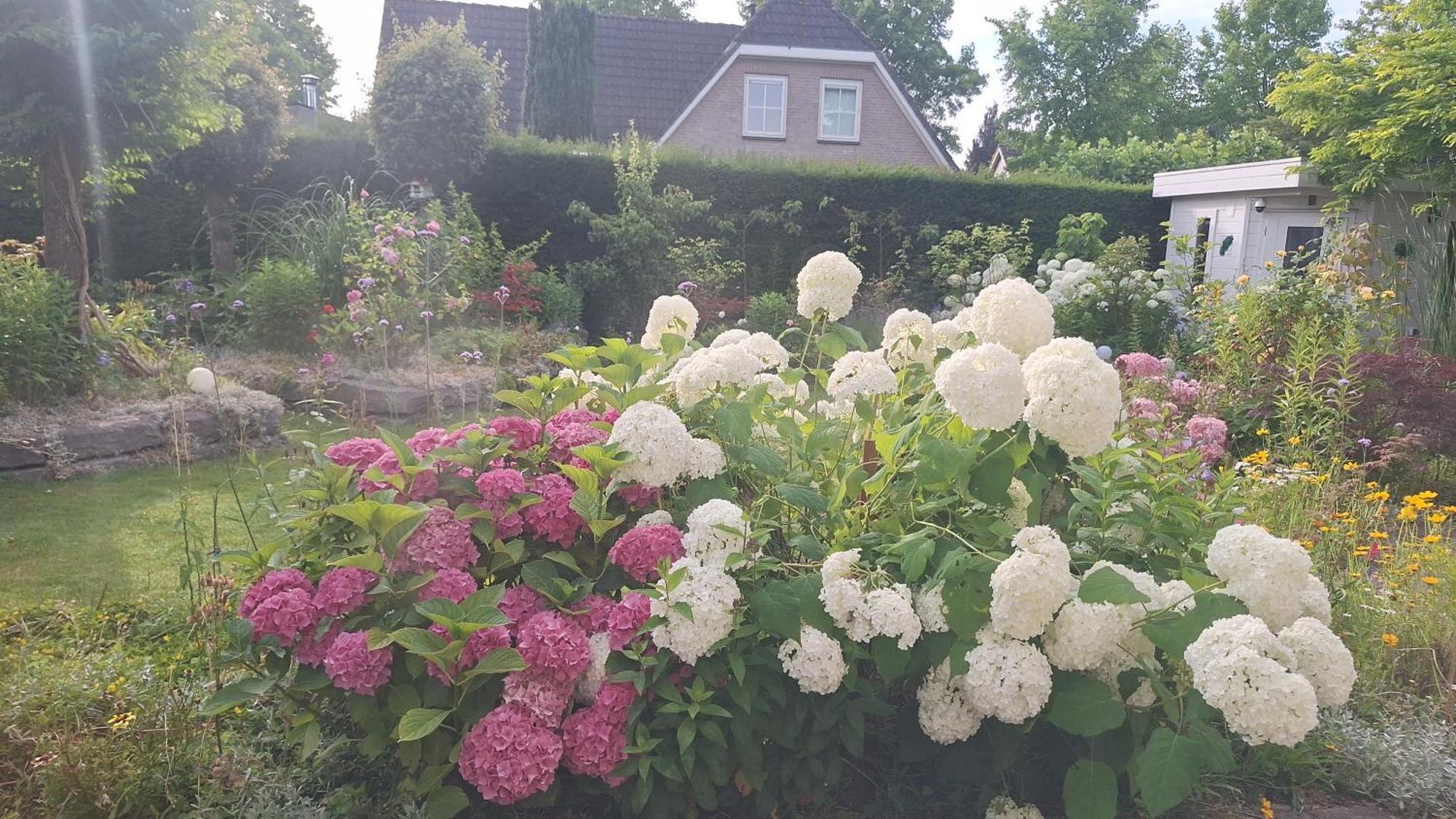 Dajan Villa Almere Kültér fotó